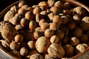 plate of walnuts and hazelnuts