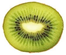 sliced kiwi on a white background