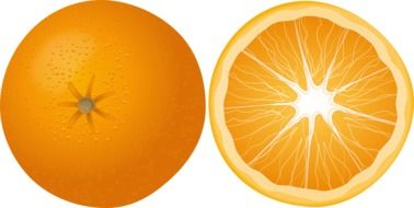 half orange as an illustration