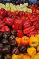 colorful peppers farmers market