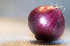 isolated red onion