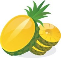 drawing sliced pineapple