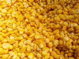 corn vegetable close-up
