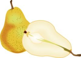 appetizing pear fruit drawing