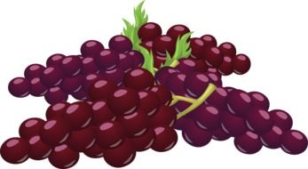 clipart of blue vinegrapes