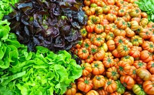 fresh green salad and red tomatoes in a market