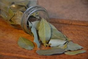 bay leaf in a transparent jar