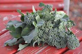 green seeds of the broccoli close-up on blurred background