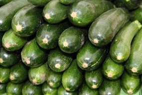 Lots of green zucchini