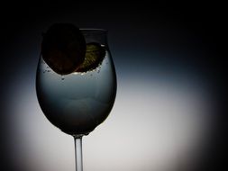 lemon in a glass of water
