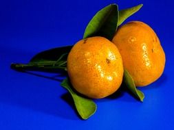 orange mandarin fruit