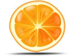 orange citrus sliced fruit drawing