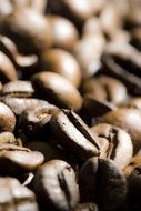 Coffee beans close-up