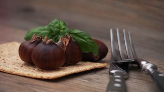 Brown chestnusts for the food