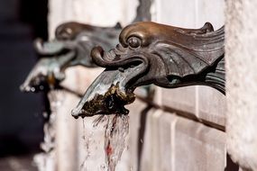 antique fish heads fountain close-up