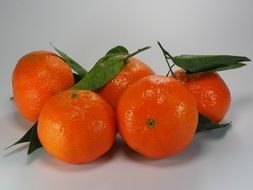 tangerines, citrus fruits