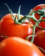 healthy red tomatoes vegetables close-up