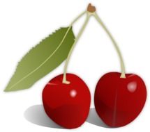 cherries drawing