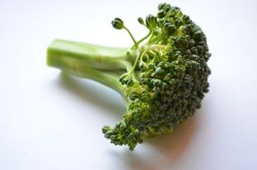 green inflorescence of broccoli