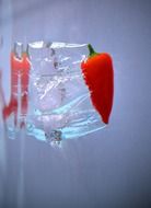 Chilli pepper in a water