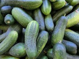 cucumbers vegetables