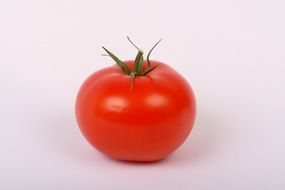 red tomato on white background