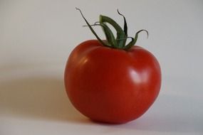 red tomato with green tail on white background