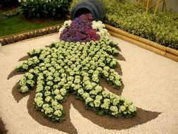artist horticulture