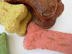 colorful dog biscuits