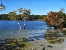 lake, Fraser island