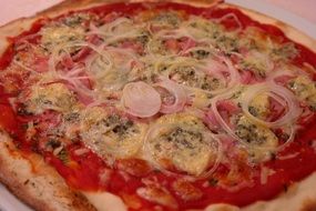 pizza gorgonzola with red onion close-up