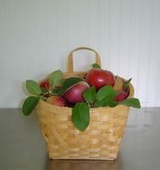 harvest apples in a basket on the table