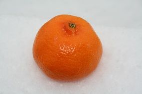 tangerine in the snow