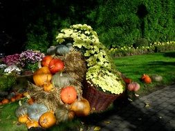 decorated garden for Thanksgiving