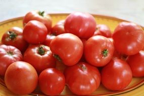 red tomatoes on a yellow plate