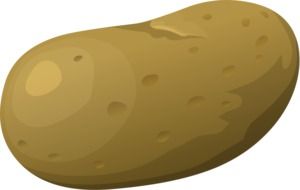 drawing green potatoes