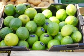 lime fruits on market