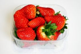 strawberries in clear box