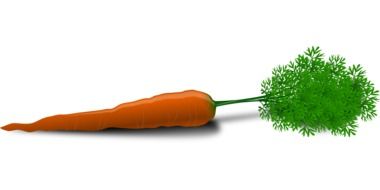 Carrot with the leaves clipart