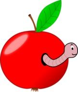 worm in the red apple