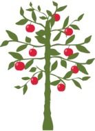 apple tree nature drawing