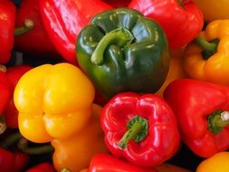 green, red and yellow sweet peppers