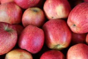 crop of juicy apples