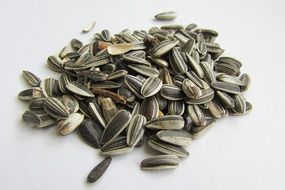 many sunflower seeds