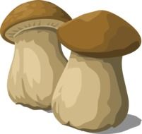 painted two mushrooms