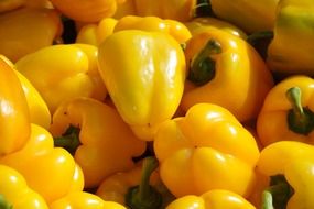 fresh paprika yellow pepper