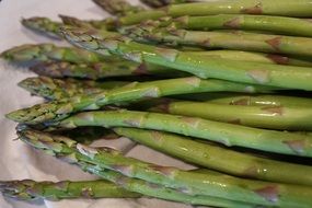 green asparagus food
