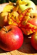 apples with yellow leaves on the board