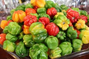 harvest of bright fresh sweet peppers