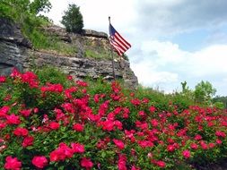 american flag over flowerbed with colorful flowers